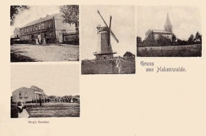 Krępsko widokowa - Reprodukcja 23856