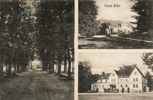 Kulice widokowa - Reprodukcja 23857