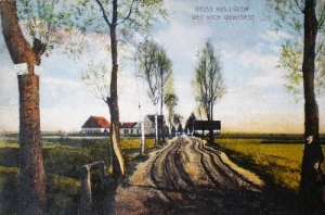 Lubczyna - Reprodukcja 23862