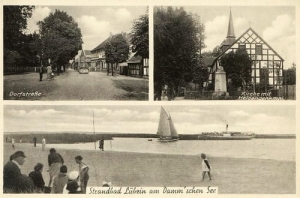 Lubczyna widokowa - Reprodukcja 23863