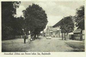 Lubczyna Dorfstr. - Reprodukcja 23866