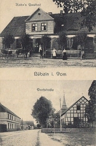 Lubczyna widokowa - Reprodukcja 23867