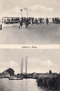 Lubczyna widokowa - Reprodukcja 23868