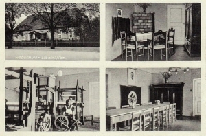 Lubczyna widokowa - Reprodukcja 23869