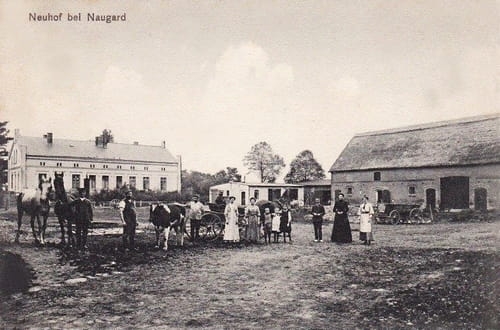 nowe-23873.jpg