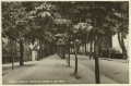 nowe-23898.jpg