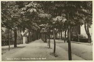 Maszewo Gollnowerstr. - Reprodukcja 23898