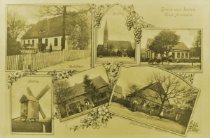 Raduń widokowa - Reprodukcja 23929