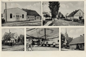 Rurzyca widokowa - Reprodukcja 23936