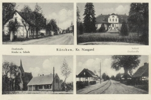 Rurzyca widokowa - Reprodukcja 23937