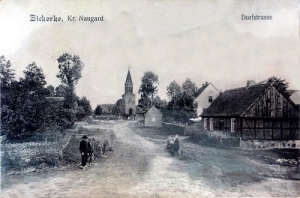 Sikorki Dorfstr. - Reprodukcja 23939