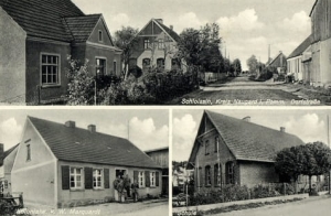 Słajsino widokowa - Reprodukcja 23940