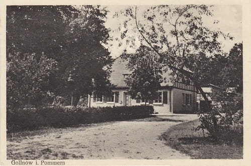nowe-23992.jpg