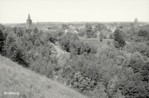 Lidzbark Warmiński - Reprodukcja 24101