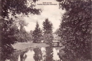 Pszczyna Park - Reprodukcja 15535