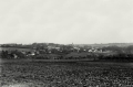 nowe-24180.jpg