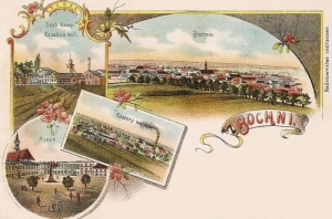 Bochnia widokowa - Reprodukcja 24214