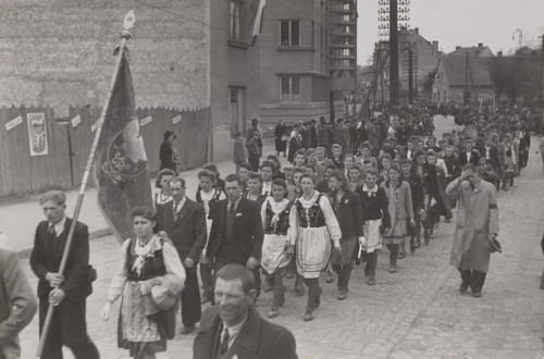 nowe-24221.jpg