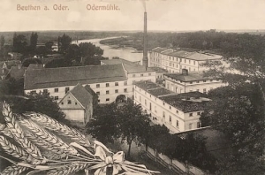 Bytom Odrzański młyn -Reprodukcja 24247