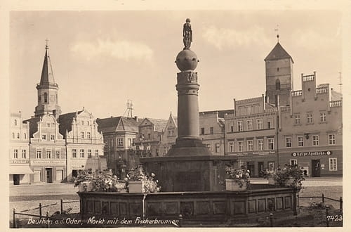 nowe-24270.jpg