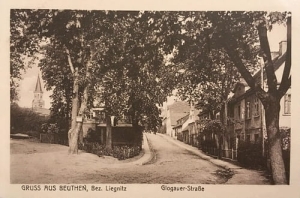 Bytom Odrzański - Reprodukcja 24279