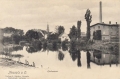 nowe-24383.jpg