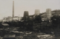 nowe-24462.jpg