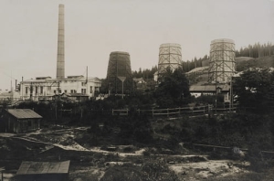 Borysław - Reprodukcja 24462