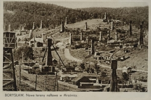 Borysław Kopalnie nafty -Reprodukcja 24473