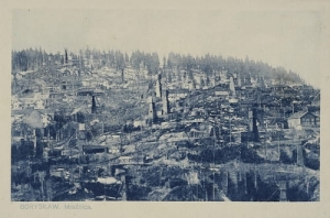 Borysław Mraźnica -Reprodukcja 24480