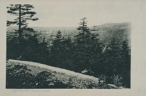 Borysław panorama -Reprodukcja 24484