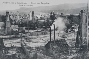 Borysław Potok -Reprodukcja 24507