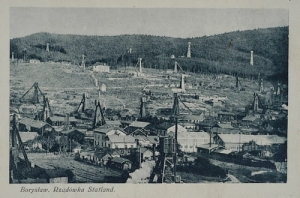 Borysław Rządówka -Reprodukcja 24508