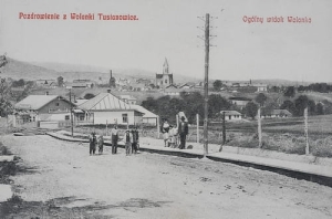 Borysław Wolanka -Reprodukcja 24509