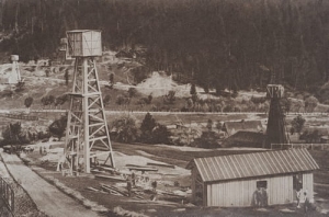 Borysław -Reprodukcja 24515