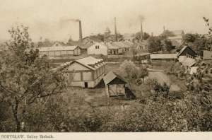 Borysław -Reprodukcja 24541