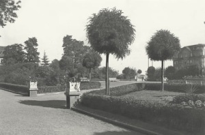 Rybnik -Reprodukcja 24566