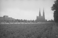 nowe-24575.jpg