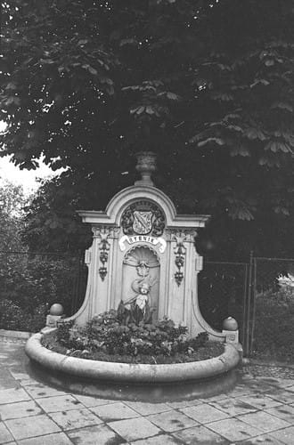 nowe-24577.jpg