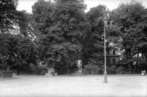 Rybnik - Reprodukcja 24581