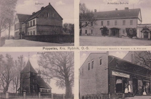 nowe-24593.jpg
