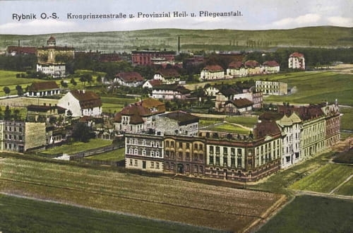 nowe-24601.jpg