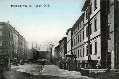 nowe-24610.jpg