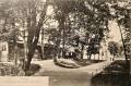 nowe-24665.jpg