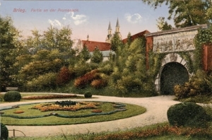 Brzeg - Reprodukcja 24666