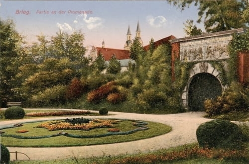 nowe-24666.jpg