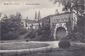 Brzeg - Reprodukcja 24667