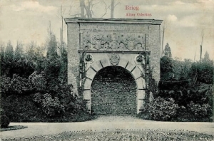 Brzeg - Reprodukcja 24668