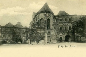 Brzeg - Reprodukcja 24673