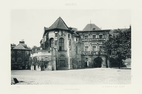 nowe-24678.jpg